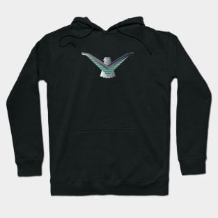 Thunderbird Emblem V Wings Black Hoodie